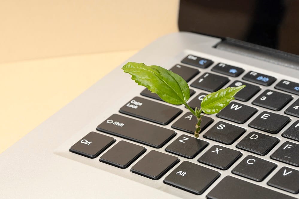 blog image